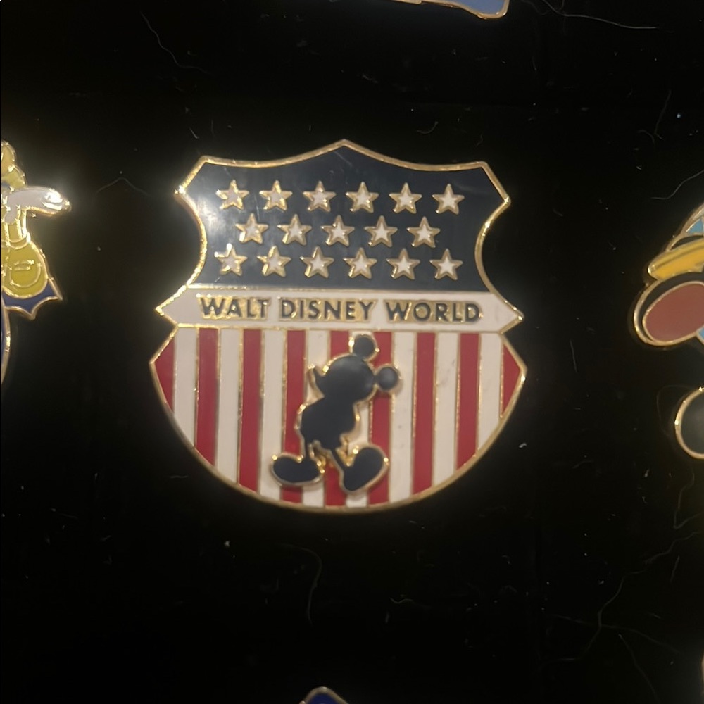Walt Disney World Mickey Pin